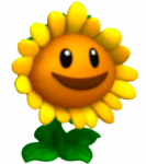 Sunflower-HQ.png