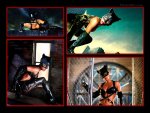 Catwoman-halle-berry-263499_1024_768.jpg