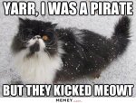 funny-pirate-cat-2.jpg