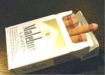 HowtoStopLesbiansSmoking1.jpg