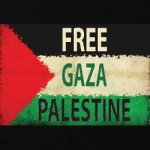 free_gaza_free_palestine_zip_hoody.jpg