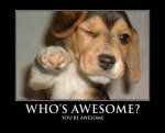 whos-awesome1.jpg