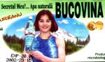 bucovinacor.jpg