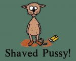 shavedpussy.jpg