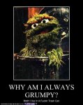 funny-pictures-oscar-the-grouch-trash-can.jpg