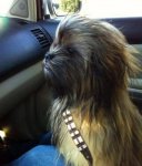 Mini Chewbacca.jpg