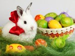 6931815-easter-bunny-desktop-wallpaper-free.jpg