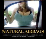 natural_airbags.jpg