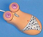 busty-mouse.JPG