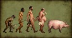 evolution.jpg