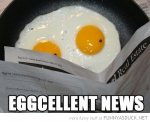 funny-fried-egg-paper-eggcellent-news-pics.jpg