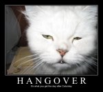 hangvoer-caturday.jpg