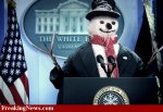 Snowman-President--34789.jpg
