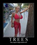 Motivational Trees bebe79a3e8.jpg