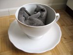 giant_teacup_02-1.jpg