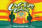 cactus cooler.jpg