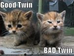 funny-pictures-good-and-evil-kittens.jpg