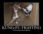 unmotivational-pictures-cat-kicking-a-dog-kung-fu-1.jpg