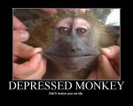 depressed monkey.jpg