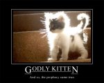 godly_kitten.jpg