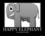 happy elephant.jpg