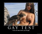 gay test.jpg