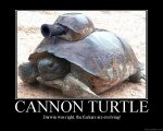 Cannon Turtle.jpg