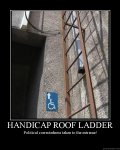 HAndicap Roof Ladder.jpg