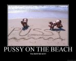 pussy on the beach.jpg