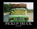 Pickup truck.jpg