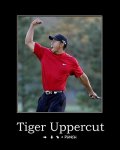 tiger_uppercut.jpg