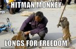 hitman_monkey2.jpg