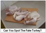 Spot_the_fake_turkey.jpg