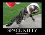 funny-pictures-space-kitty.jpg