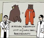 bearstronauts.jpg