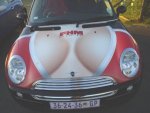 mini%20cooper%20paint%5B2%5D.JPG