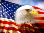 961631-bald_eagle_head_and_american_flag.jpg