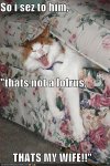 funny-pictures-cat-in-couch-bad-joke.jpg