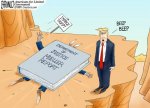 Branco-Road-Kill.jpg