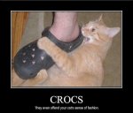 crocs.jpg