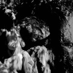 61121464_343501332978686_1535931023940563288_n[1].jpg