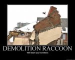 demolition-raccoon.jpg