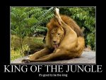 king-of-the-jungle.jpg