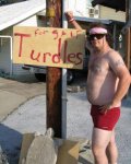 turdles.jpg
