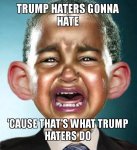 trump-haters-gonna.jpg