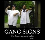 gang signs.JPG