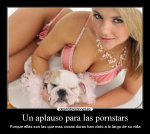 pornstars4pups.jpg