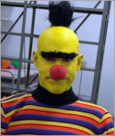 funny-pictures-humor-sesame-street-bert-costume.png