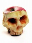 apple_skeleton.jpg