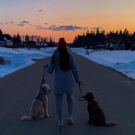 2020-04-11 16.15.29 2285191943175444179_356015730.jpg